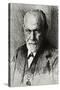 Sigmund Freud, Austrian Psychologist-null-Stretched Canvas