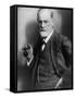 Sigmund Freud, Founder of Psychoanalysis, Smoking Cigar-null-Framed Stretched Canvas