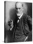 Sigmund Freud, Founder of Psychoanalysis, Smoking Cigar-null-Stretched Canvas