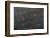 Sign Alphabet-Michal Durinik-Framed Photographic Print