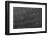 Sign Alphabet-Michal Durinik-Framed Photographic Print