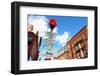 Sign Depicting Direction of Different Italian Cities in the Little Italy Section of the North End O-SeanPavonePhoto-Framed Photographic Print