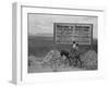 Sign entering Tombstone, Arizona, 1937-Dorothea Lange-Framed Photographic Print