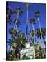 Sign for Beverly Hills Hotel, Beverly Hills, Los Angeles, California, Usa-Wendy Connett-Stretched Canvas
