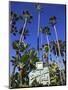 Sign for Beverly Hills Hotel, Beverly Hills, Los Angeles, California, Usa-Wendy Connett-Mounted Photographic Print