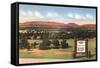 Sign for Continental Divide-null-Framed Stretched Canvas