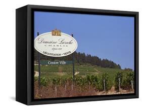 Sign for Domaine Laroche and the Les Clos Grand Cru Vineyard, Chablis, France-Per Karlsson-Framed Stretched Canvas