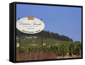 Sign for Domaine Laroche and the Les Clos Grand Cru Vineyard, Chablis, France-Per Karlsson-Framed Stretched Canvas