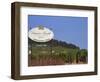 Sign for Domaine Laroche and the Les Clos Grand Cru Vineyard, Chablis, France-Per Karlsson-Framed Photographic Print