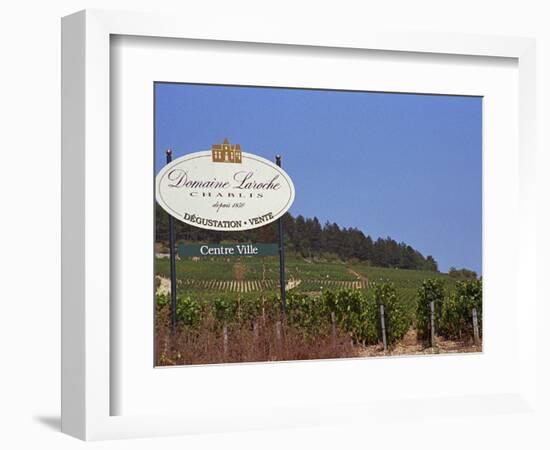 Sign for Domaine Laroche and the Les Clos Grand Cru Vineyard, Chablis, France-Per Karlsson-Framed Photographic Print