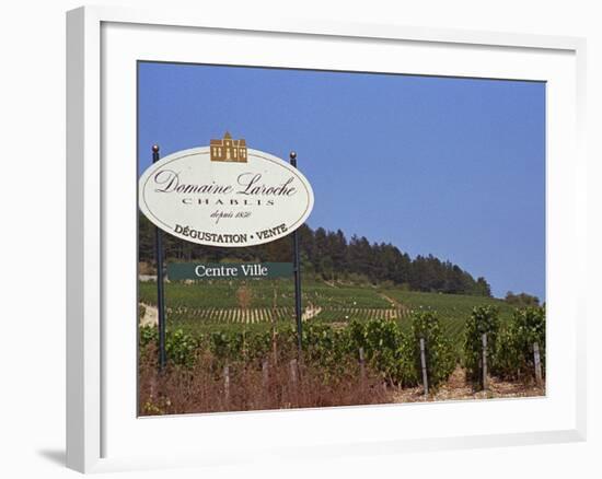 Sign for Domaine Laroche and the Les Clos Grand Cru Vineyard, Chablis, France-Per Karlsson-Framed Photographic Print