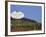 Sign for Domaine Laroche and the Les Clos Grand Cru Vineyard, Chablis, France-Per Karlsson-Framed Photographic Print