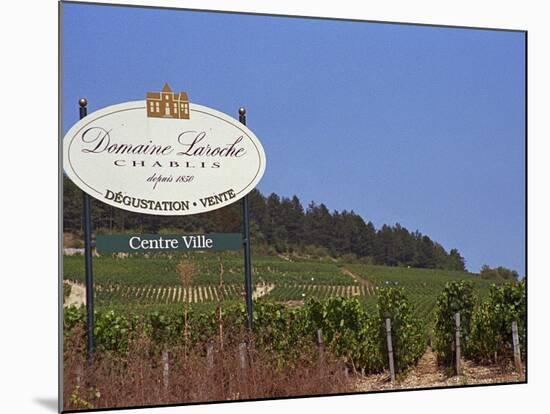 Sign for Domaine Laroche and the Les Clos Grand Cru Vineyard, Chablis, France-Per Karlsson-Mounted Photographic Print