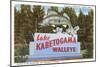 Sign for Lake Kabetogama, Minnesota, Walleye-null-Mounted Art Print