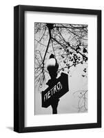 Sign for the Metro Subway, Paris, France-Walter Bibikow-Framed Photographic Print