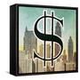 Sign for the Us Dollar-English School-Framed Stretched Canvas