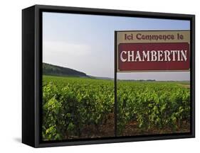 Sign Ici Commence Le Chambertin, Grand Cru Vineyard, Bourgogne, France-Per Karlsson-Framed Stretched Canvas