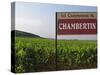 Sign Ici Commence Le Chambertin, Grand Cru Vineyard, Bourgogne, France-Per Karlsson-Stretched Canvas