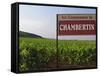 Sign Ici Commence Le Chambertin, Grand Cru Vineyard, Bourgogne, France-Per Karlsson-Framed Stretched Canvas