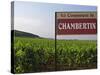 Sign Ici Commence Le Chambertin, Grand Cru Vineyard, Bourgogne, France-Per Karlsson-Stretched Canvas