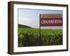 Sign Ici Commence Le Chambertin, Grand Cru Vineyard, Bourgogne, France-Per Karlsson-Framed Photographic Print