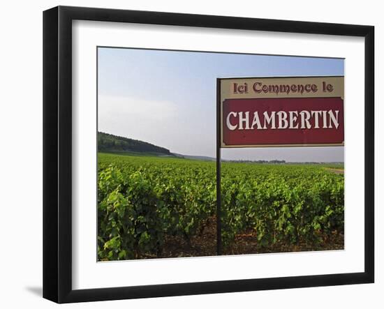 Sign Ici Commence Le Chambertin, Grand Cru Vineyard, Bourgogne, France-Per Karlsson-Framed Photographic Print