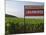 Sign Ici Commence Le Chambertin, Grand Cru Vineyard, Bourgogne, France-Per Karlsson-Mounted Photographic Print