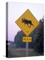 Sign, Moose Crossing the Road, Algonquin Provincial Park, Ontario, Canada-Thorsten Milse-Stretched Canvas