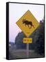 Sign, Moose Crossing the Road, Algonquin Provincial Park, Ontario, Canada-Thorsten Milse-Framed Stretched Canvas