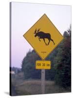 Sign, Moose Crossing the Road, Algonquin Provincial Park, Ontario, Canada-Thorsten Milse-Stretched Canvas
