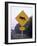 Sign, Moose Crossing the Road, Algonquin Provincial Park, Ontario, Canada-Thorsten Milse-Framed Photographic Print