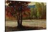 Sign of Fall II-Tim O'toole-Stretched Canvas
