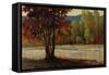 Sign of Fall II-Tim O'toole-Framed Stretched Canvas