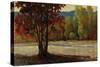 Sign of Fall II-Tim O'toole-Stretched Canvas