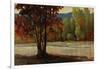 Sign of Fall II-Tim O'toole-Framed Giclee Print