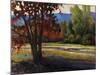 Sign of Fall-Tim O'toole-Mounted Giclee Print