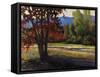 Sign of Fall-Tim O'toole-Framed Stretched Canvas