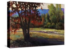 Sign of Fall-Tim O'toole-Stretched Canvas