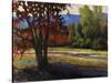 Sign of Fall-Tim O'toole-Stretched Canvas