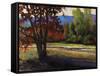 Sign of Fall-Tim O'toole-Framed Stretched Canvas