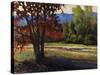 Sign of Fall-Tim O'toole-Stretched Canvas