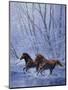 Sign of Spring-Joh Naito-Mounted Giclee Print