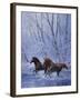 Sign of Spring-Joh Naito-Framed Giclee Print