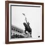 Sign on Statue of Joan of Arc at Plateaus Des Glieres-null-Framed Photographic Print