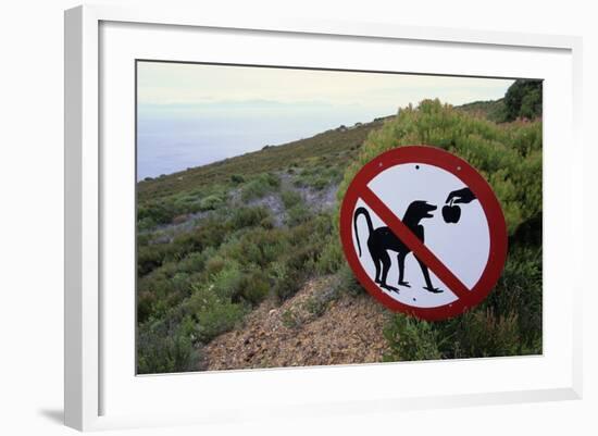 Sign Reminding Not to Feed the Baboons-Paul Souders-Framed Photographic Print