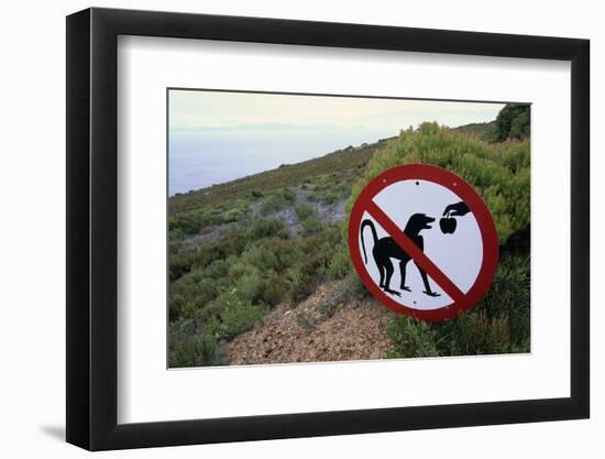 Sign Reminding Not to Feed the Baboons-Paul Souders-Framed Photographic Print