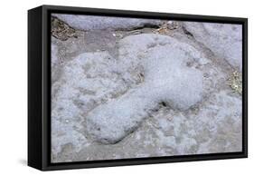 Sign to the Brothel, Pompeii, Campania, Italy-Walter Rawlings-Framed Stretched Canvas