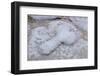 Sign to the Brothel, Pompeii, Campania, Italy-Walter Rawlings-Framed Photographic Print