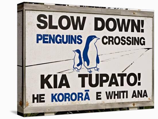 Sign Warning Drivers About Penguins in the Road, Wellington, North Island, New Zealand-Don Smith-Stretched Canvas