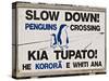 Sign Warning Drivers About Penguins in the Road, Wellington, North Island, New Zealand-Don Smith-Stretched Canvas